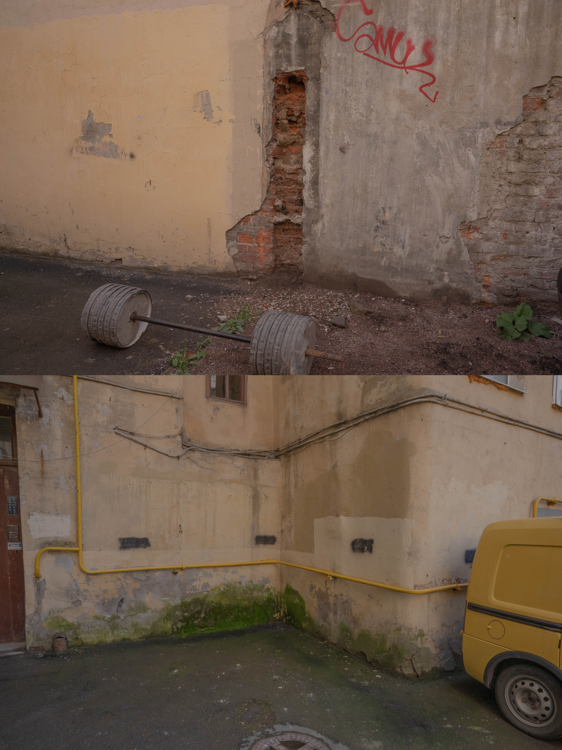 Опыт выражения. Shyjungle's Portfolio