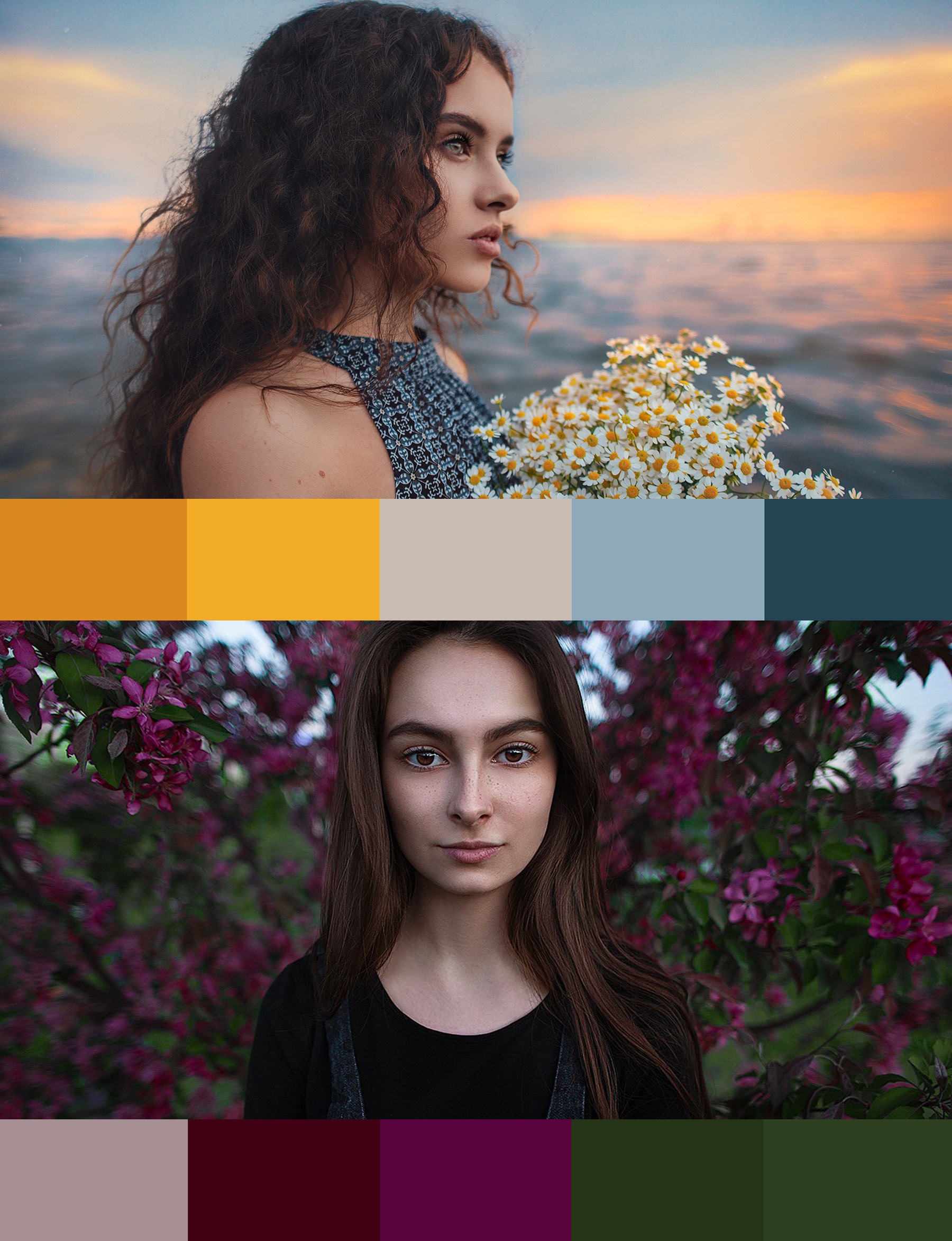 Цветовой круг Иттена для фотографа. Обучающий блог фотографа Jay Lay | Фотограф Казань