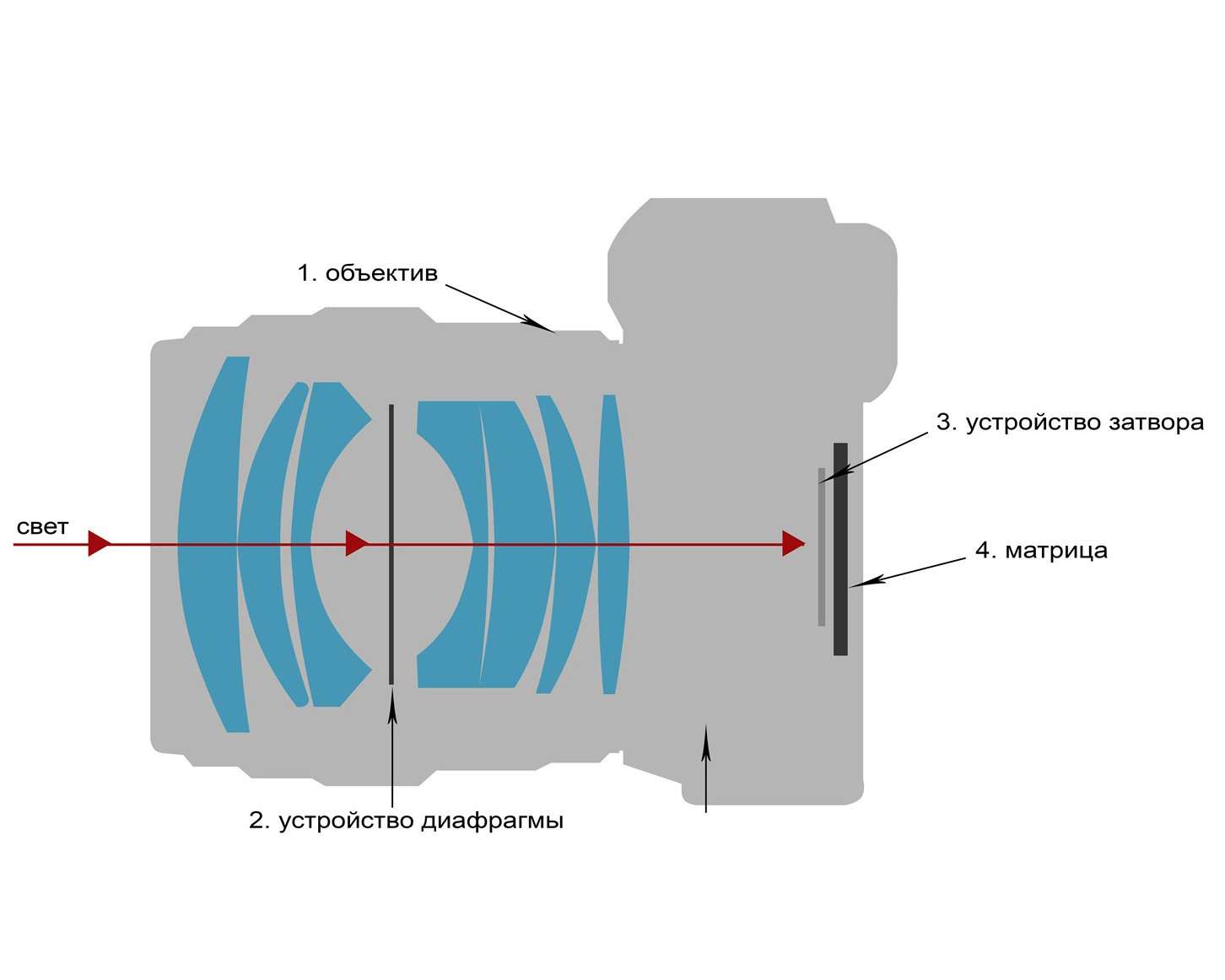 Занятие № 1. FOTOFAQ SKOOL г. Санкт-Петербург: очные, дистанционные и онлайн курсы фотографии