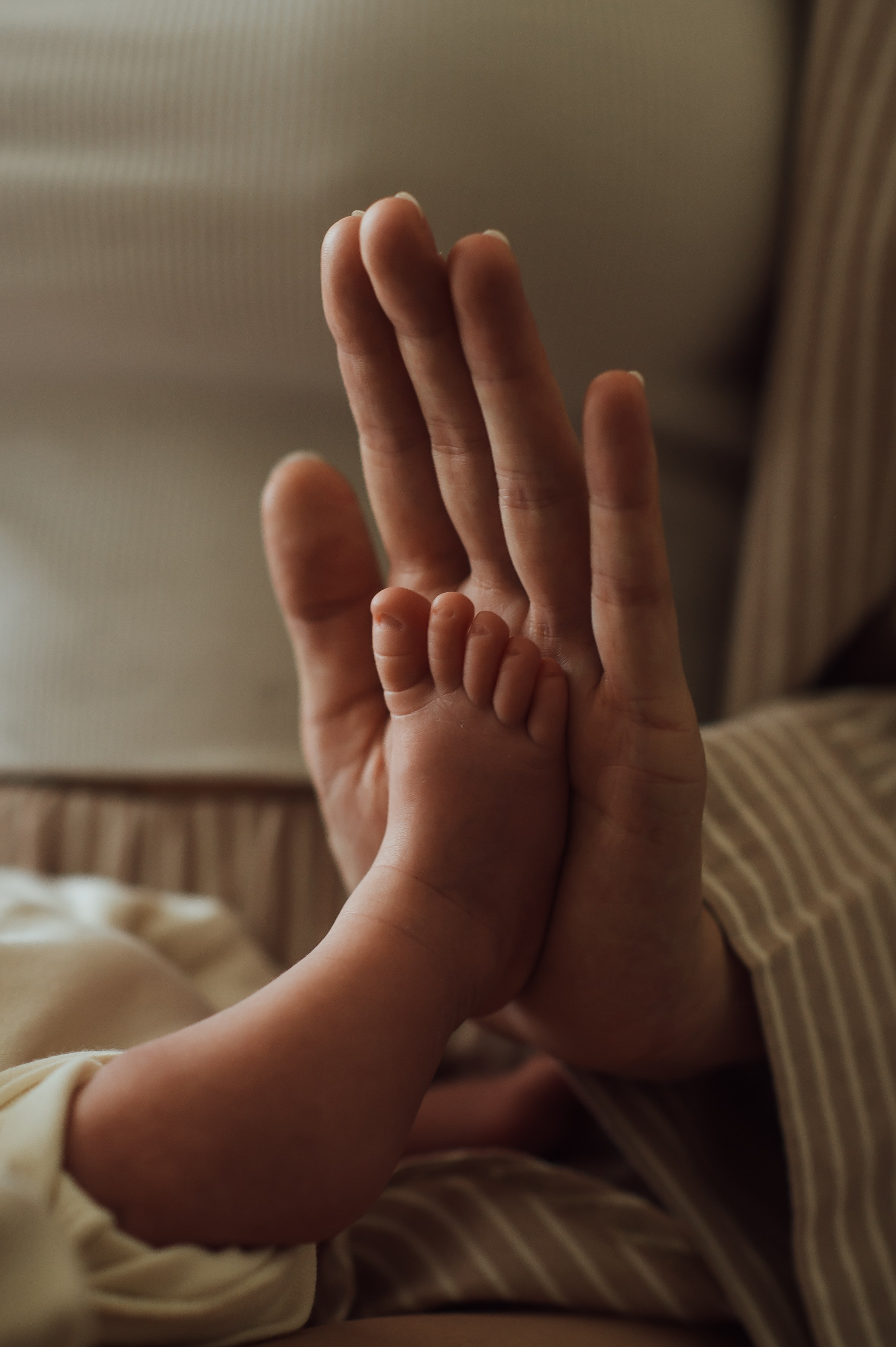 Что надеть на домашнюю newborn-съемку: гайд для мам, пап и сладких пяточек 🤎☁️. Фотограф новорожденных (newborn) и семейный фотограф в Старом Осколе | София Степаненко