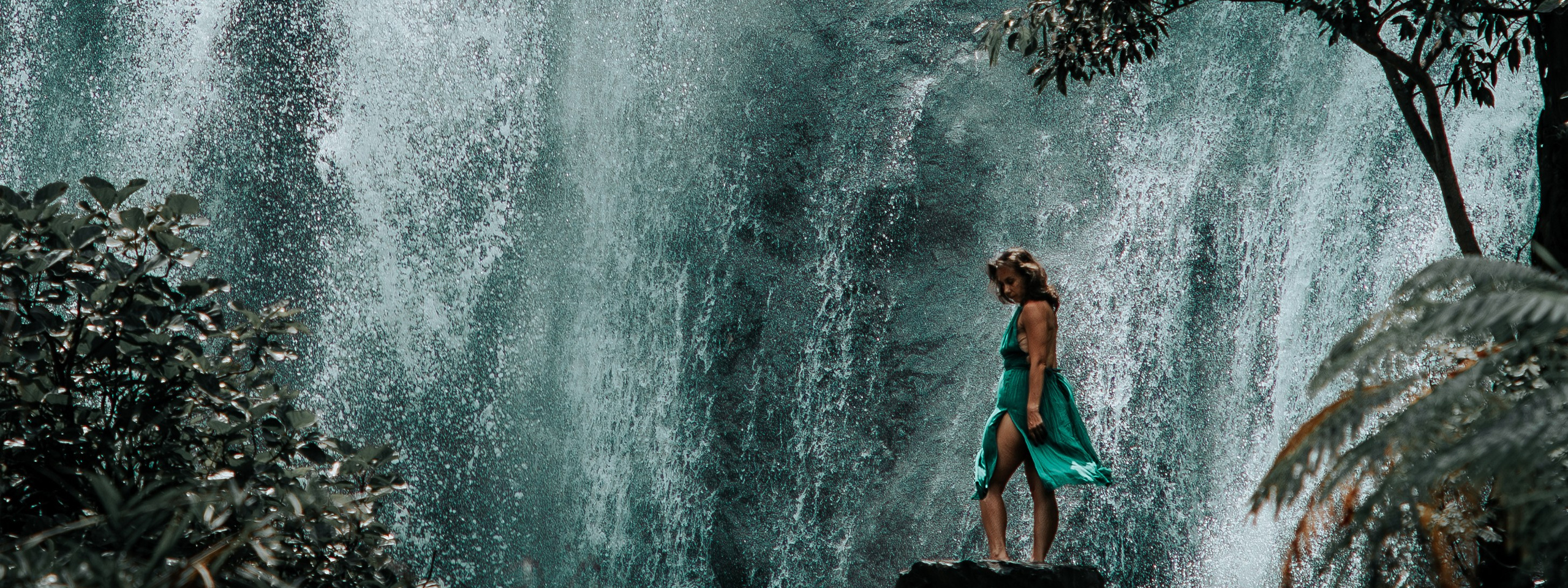 Твой фотограф — Полосатый кот