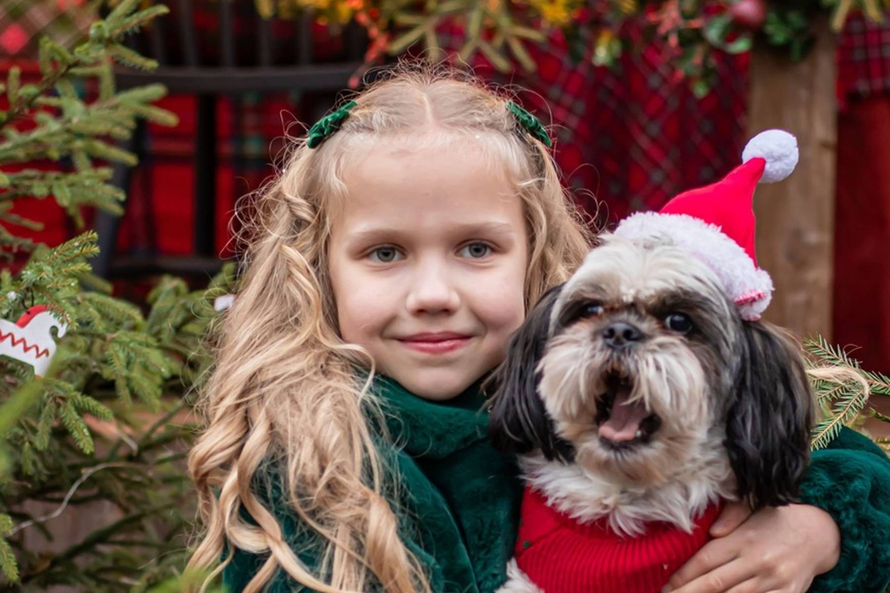 Новогодняя фотосессия, девочка в зелёном платье с собакой в шапке Санты у ёлки, семейный фотограф Карасёва Елена, Москва