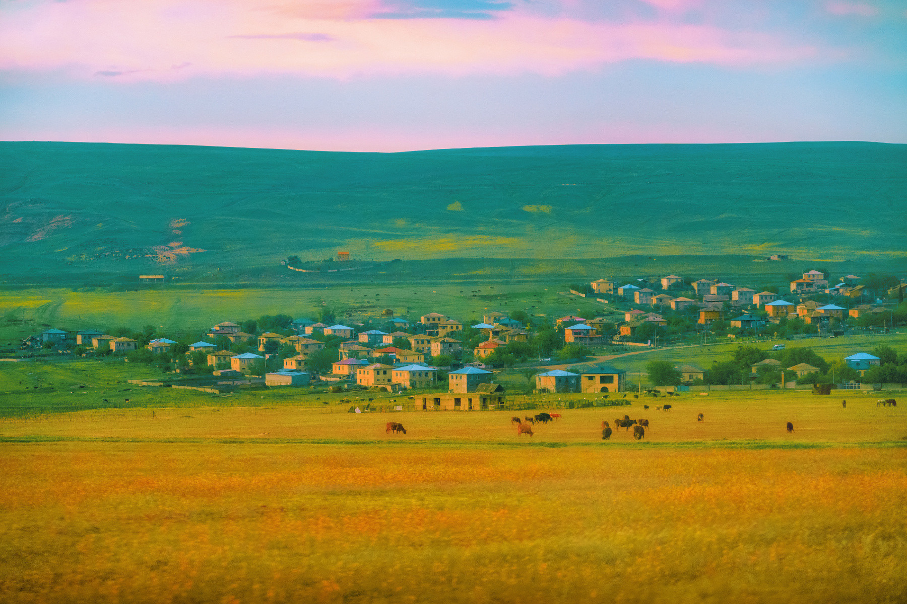 Kakheti. Andrei Bortnikau photographer in Tbilisi, Georgia