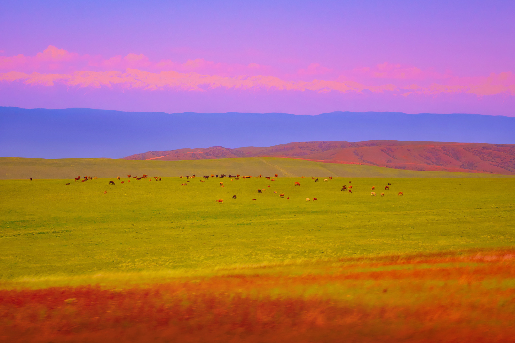 Kakheti. Andrei Bortnikau photographer in Tbilisi, Georgia