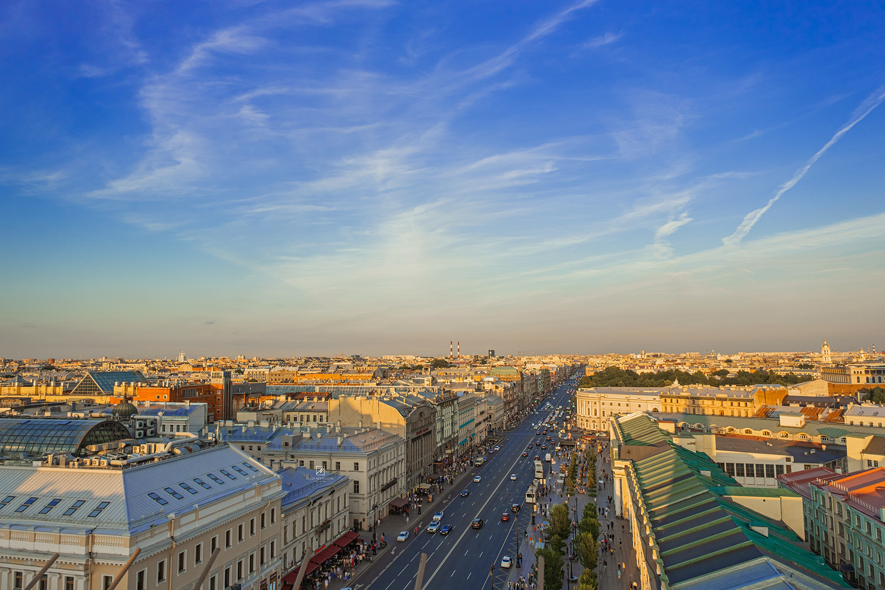 Смотровая площадка в самом сердце Петербурга. Фотограф и искусствовед в Туле и Санкт-Петербурге Нелли Некрасова