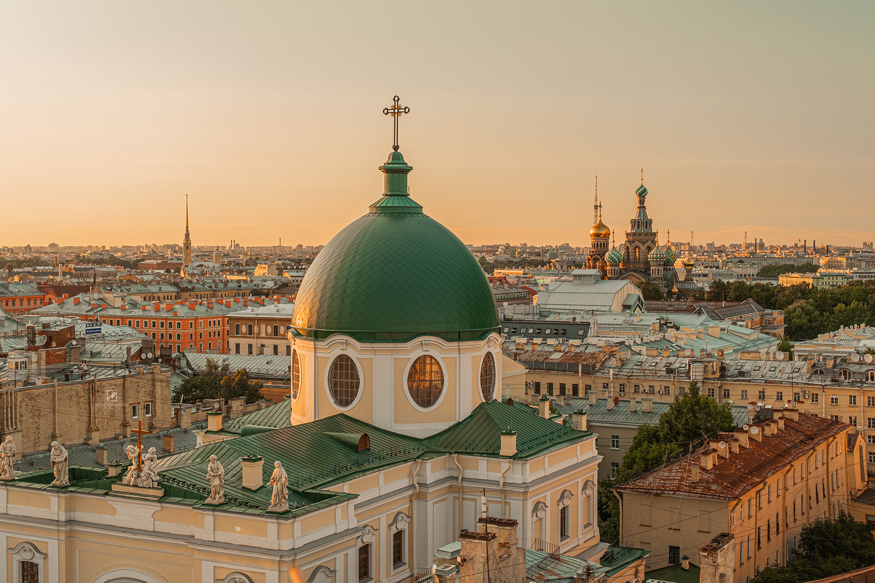 Смотровая площадка в самом сердце Петербурга. Фотограф и искусствовед в Туле и Санкт-Петербурге Нелли Некрасова