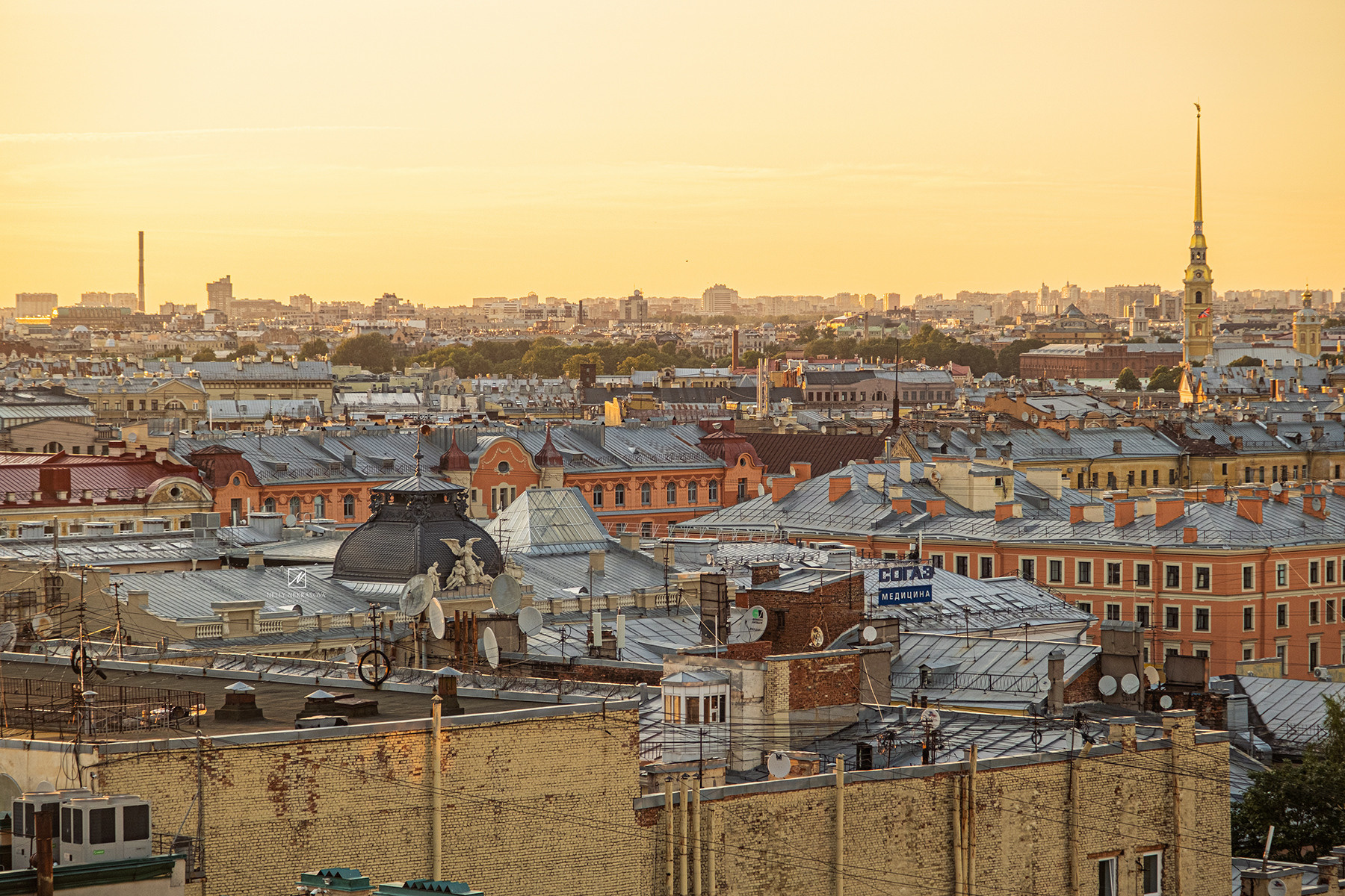 Смотровая площадка в самом сердце Петербурга. Фотограф и искусствовед в Туле и Санкт-Петербурге Нелли Некрасова