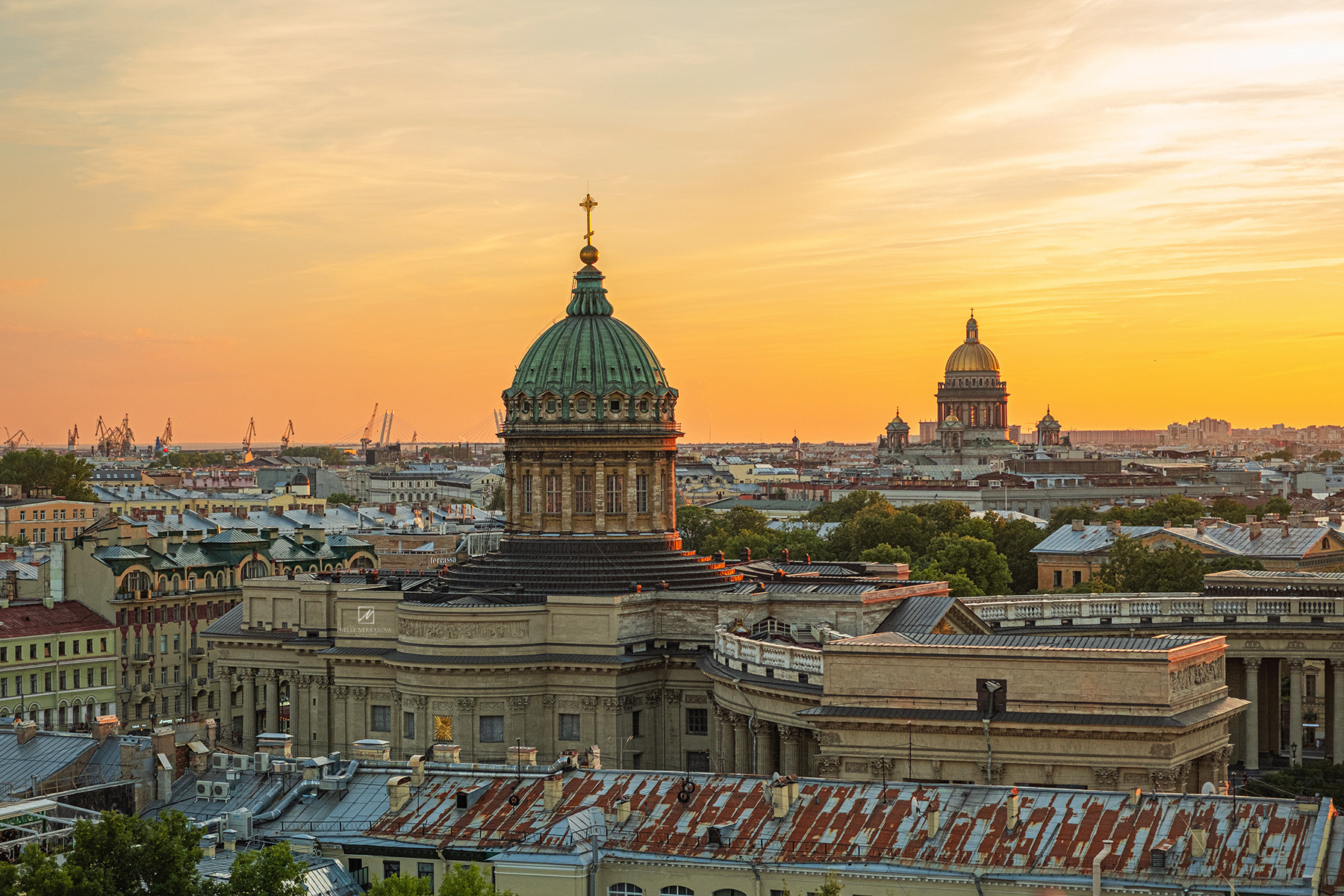 Смотровая площадка в самом сердце Петербурга. Фотограф и искусствовед в Туле и Санкт-Петербурге Нелли Некрасова