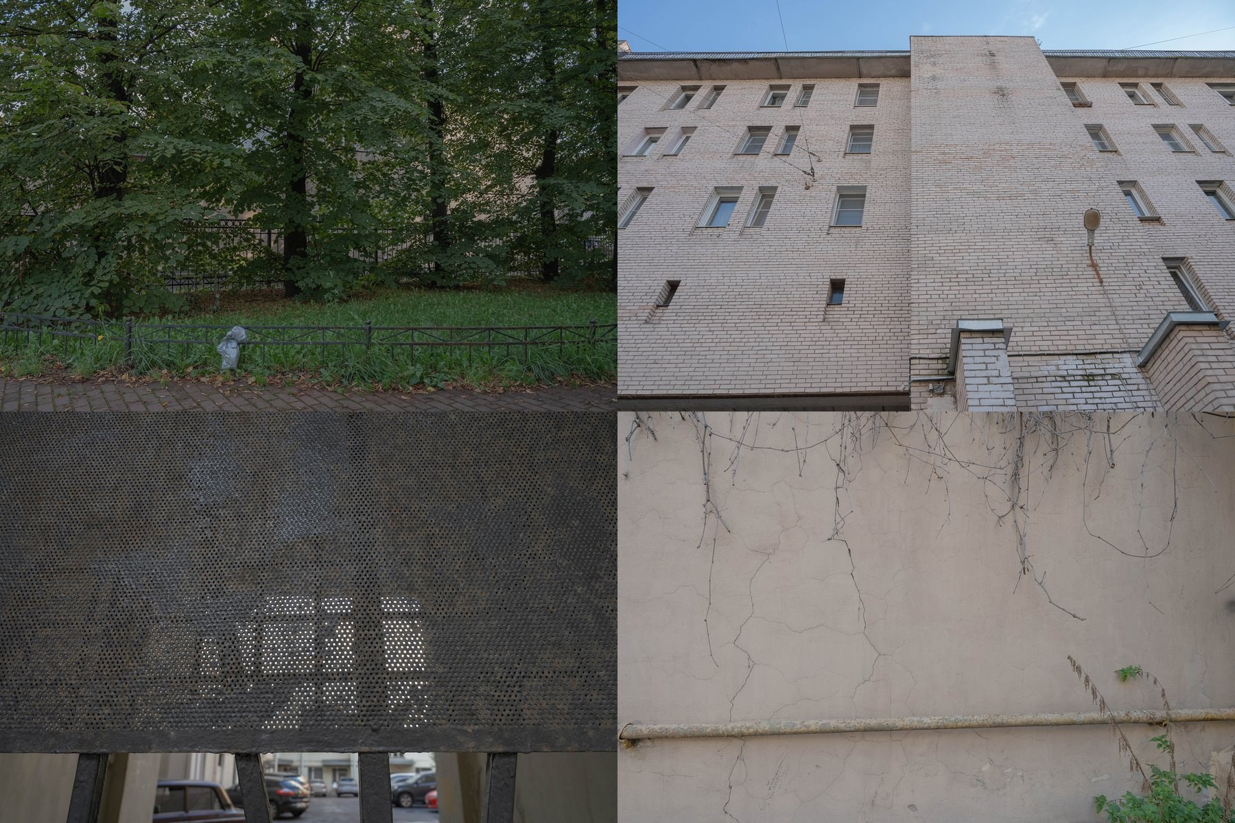 Опыт выражения. Shyjungle's Portfolio