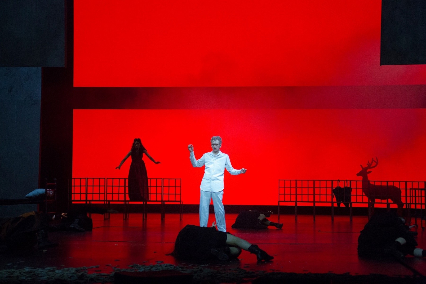 Спектакли. Режиссёр Даниил Филиппович