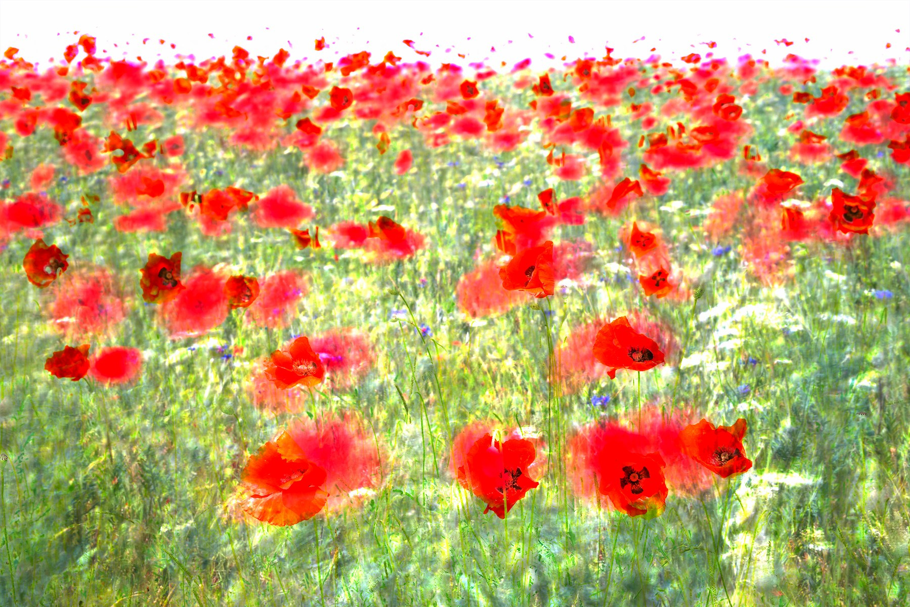 Vasiliy Riabovol — Fine Art Photographer | Time, Space, and Silence