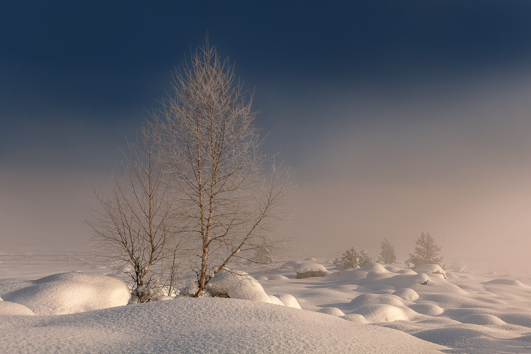 Зимние краски Алтая (01.12 — 07.12.25). Фотограф Константин Шамин