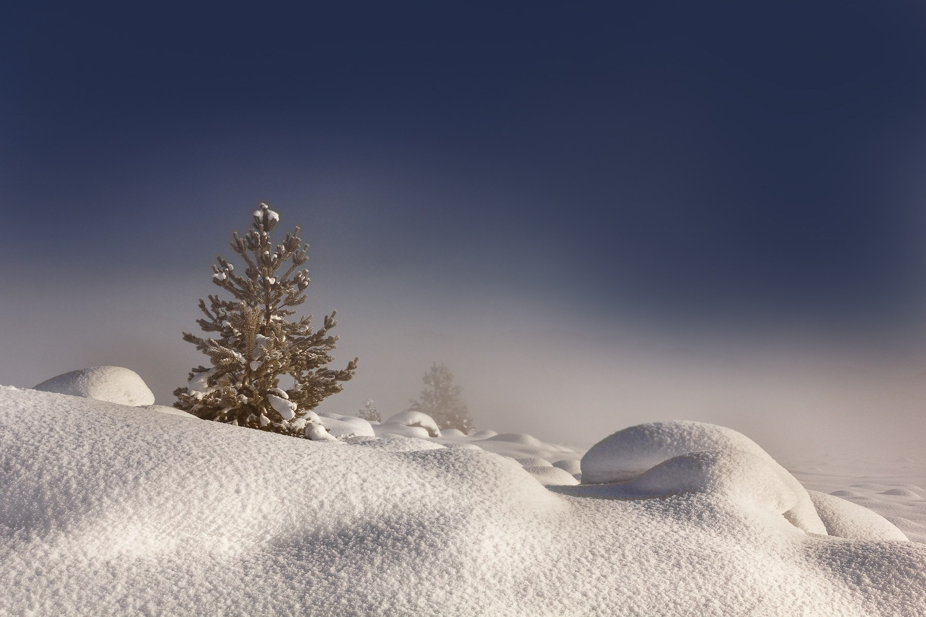 Зимние краски Алтая (01.12 — 07.12.25). Фотограф Константин Шамин