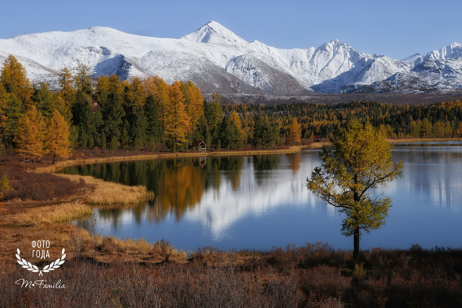 Фотограф Жилина Светлана