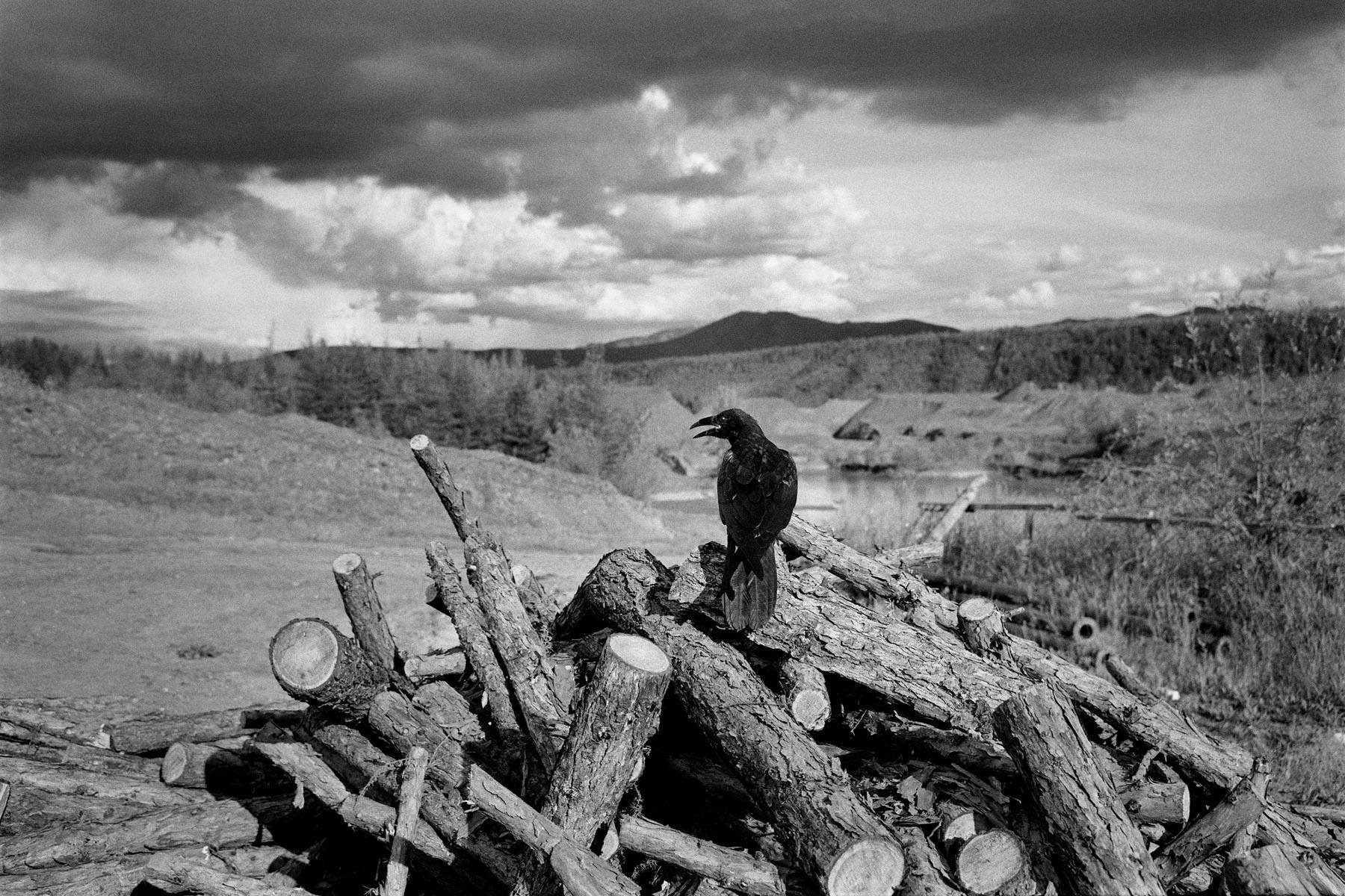 KOLYMA: IN THE SHADOW OF TIME. Emil Gataullin