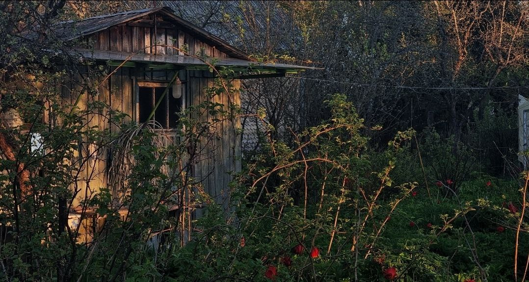 OPEN CALL «6 соток». Home Decor