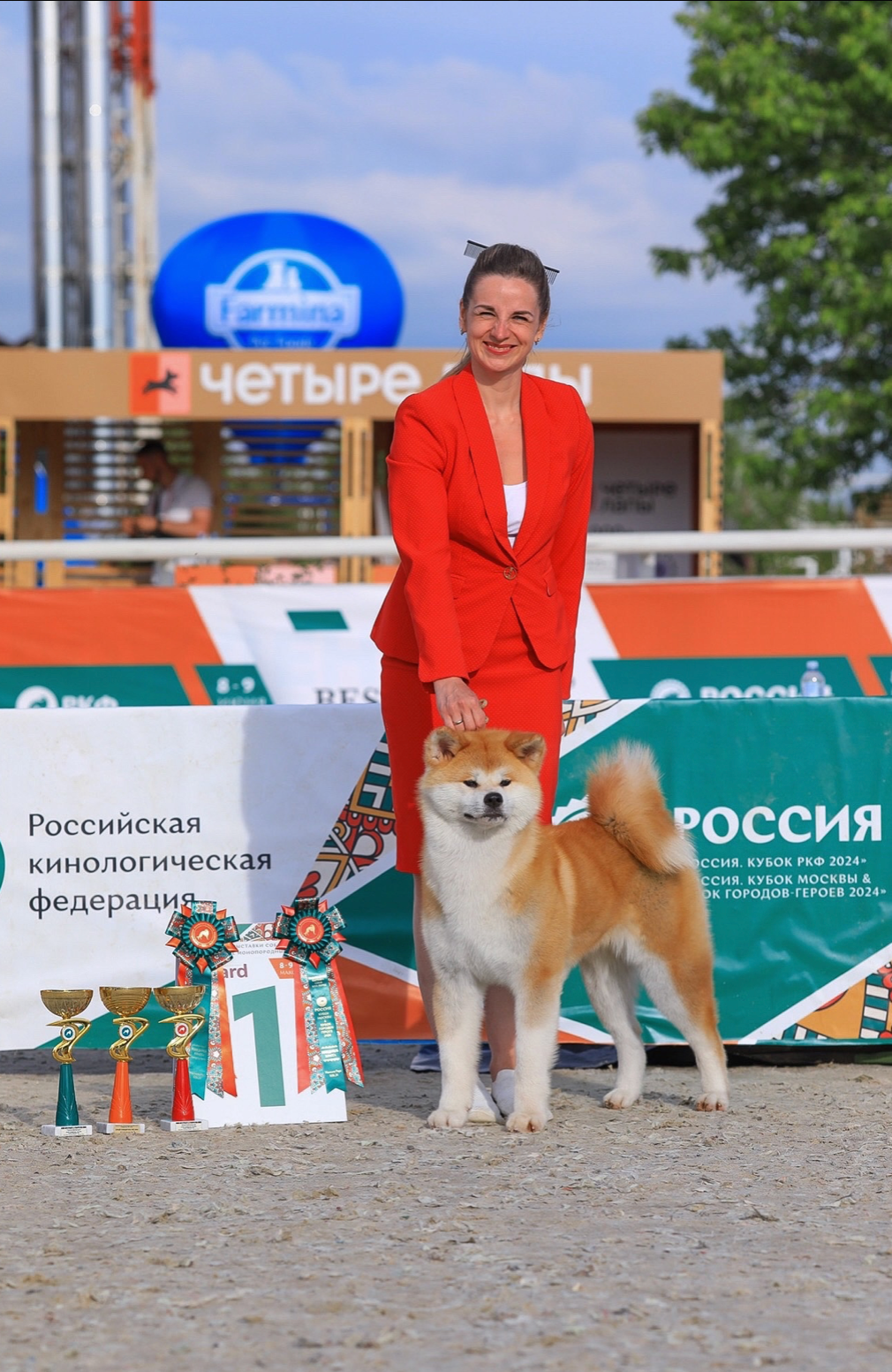 Dog Shows. Kennel Akita inu