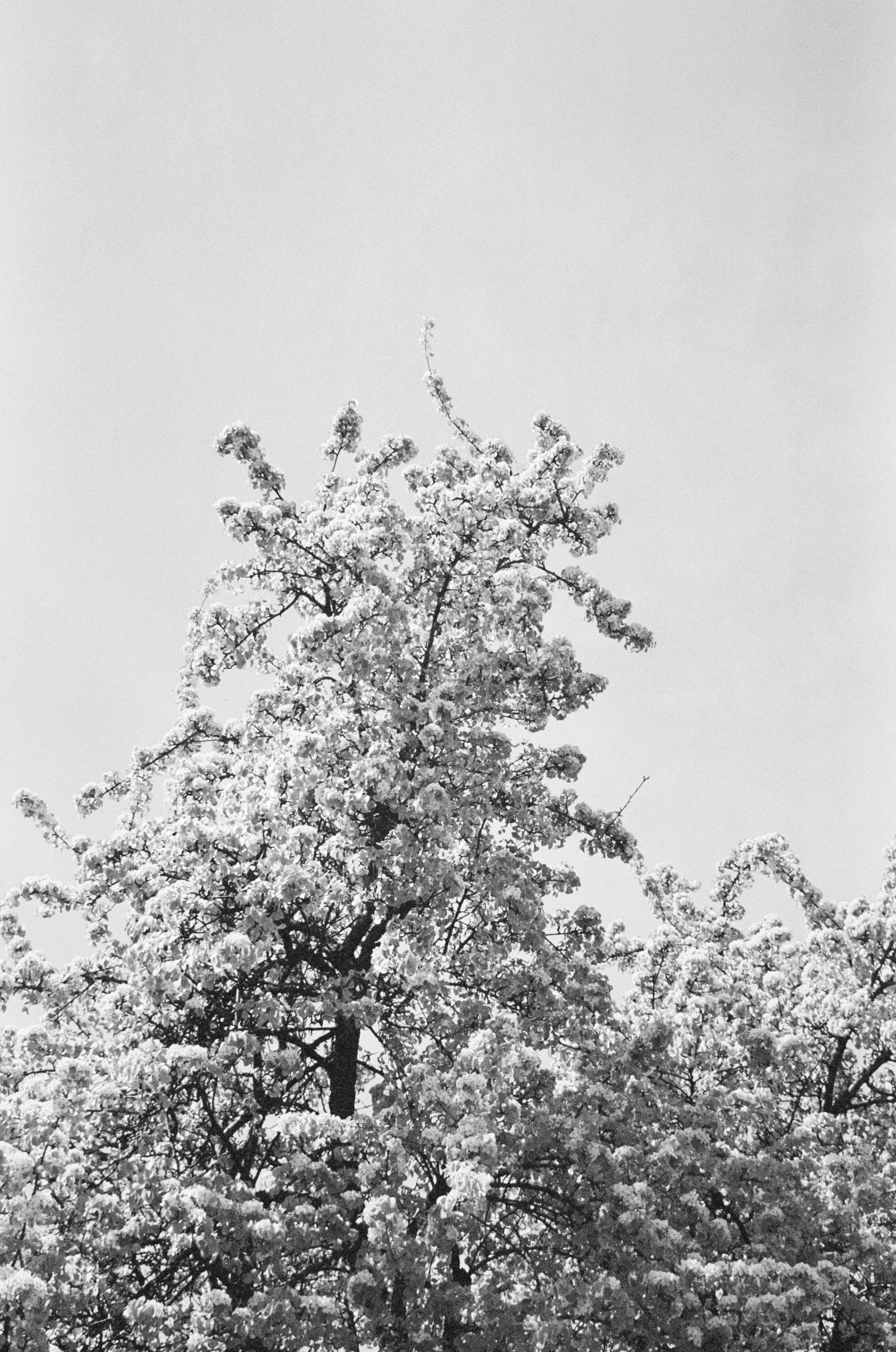 Портретный и предметный фотограф Елизавета Федорова