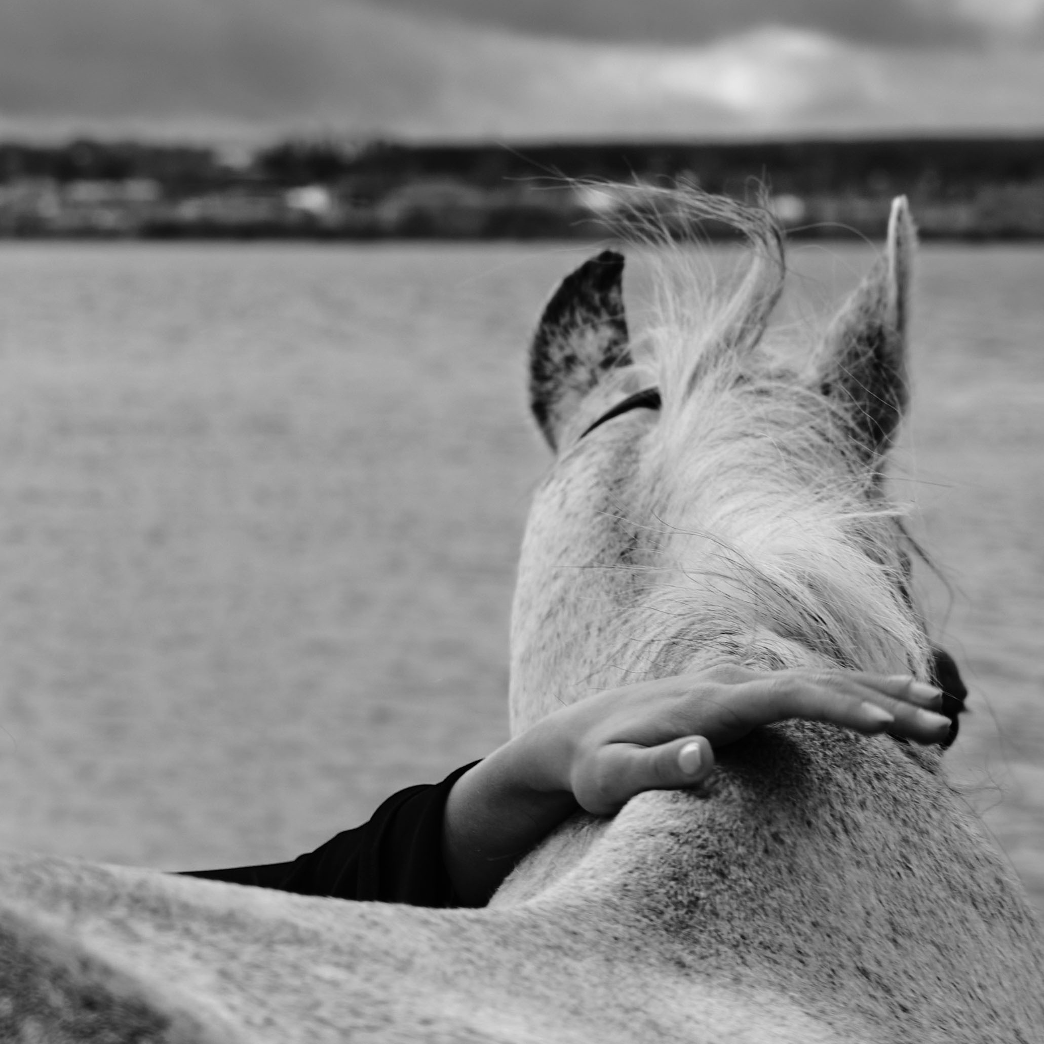 Вопросы. Ася Ложкина фотограф Ижевск