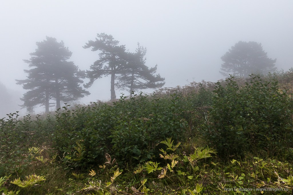 Путешествие в Северную Осетию. Часть 1. Фотограф Иван Губанов