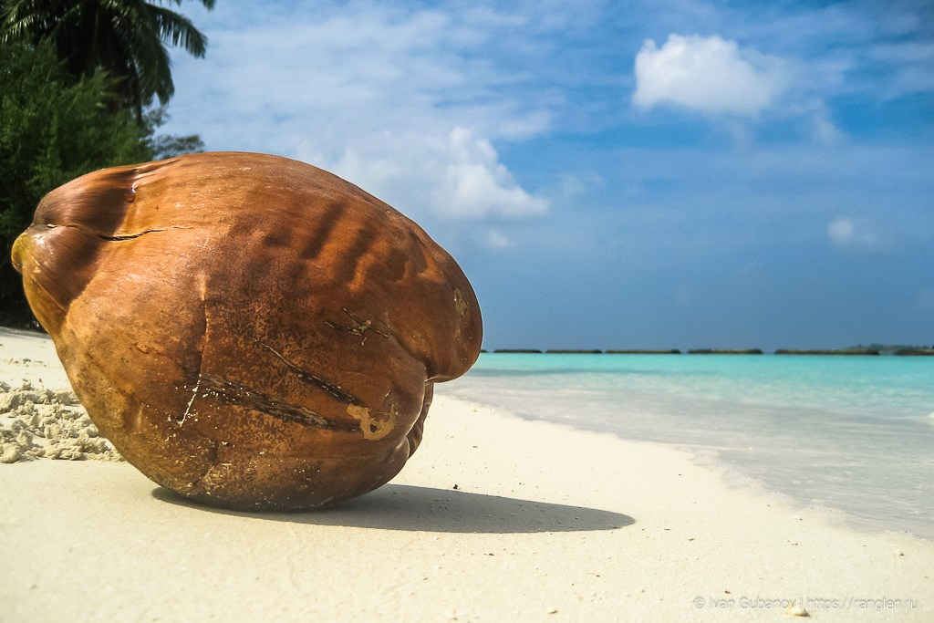 Путешествие на Мальдивские острова. Фотограф Иван Губанов