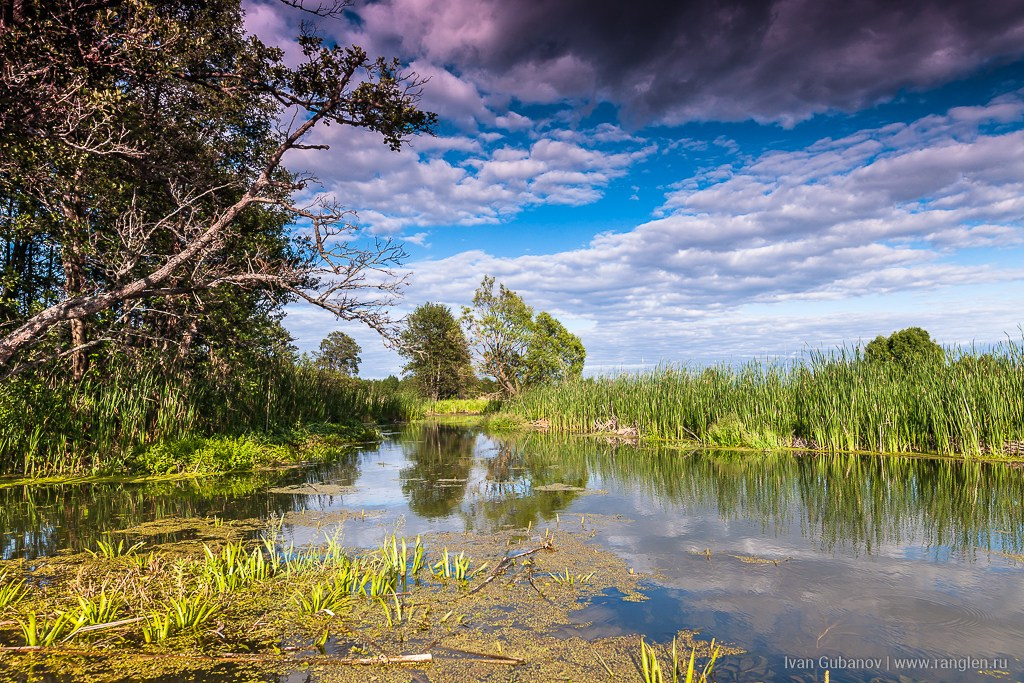 Брянская область. Климово. Фотограф Иван Губанов