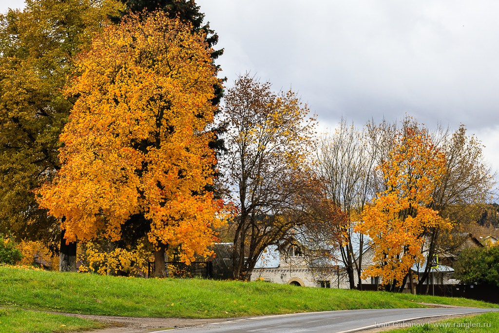 Путешествие в Дмитров. Фотограф Иван Губанов