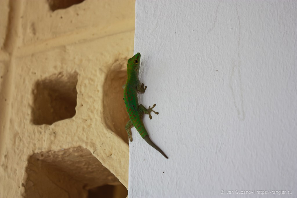Путешествие на Сейшельские острова. Фотограф Иван Губанов