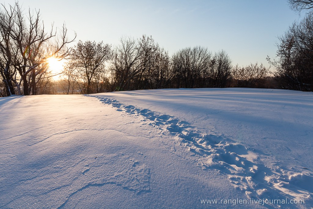 Путешествие в Коломну. Фотограф Иван Губанов