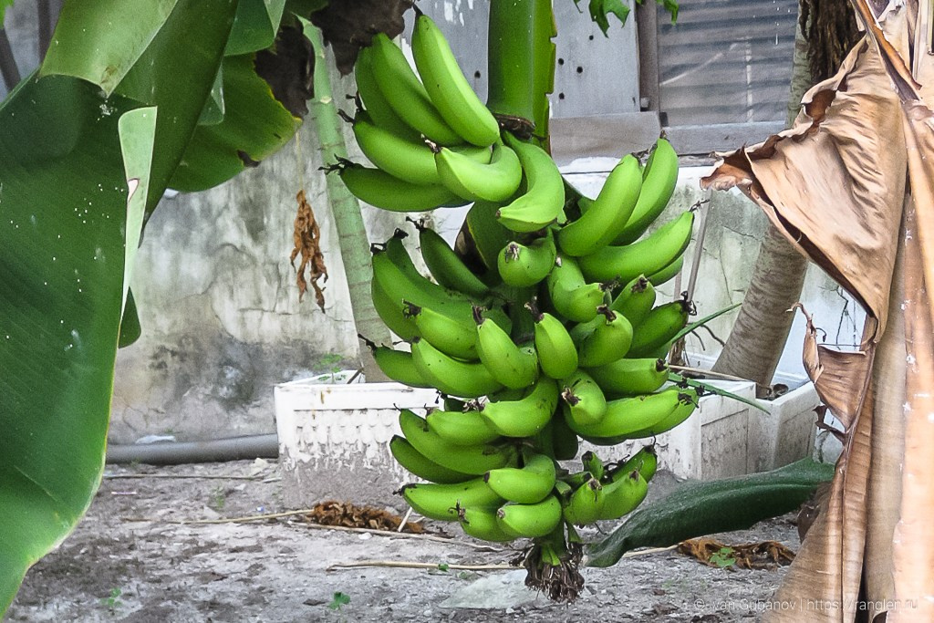 Путешествие на Мальдивские острова. Фотограф Иван Губанов