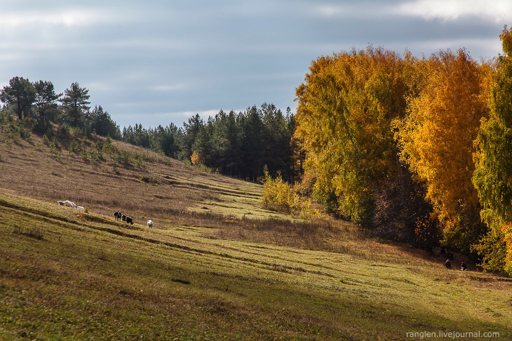 Казань 2014. Фотограф Иван Губанов