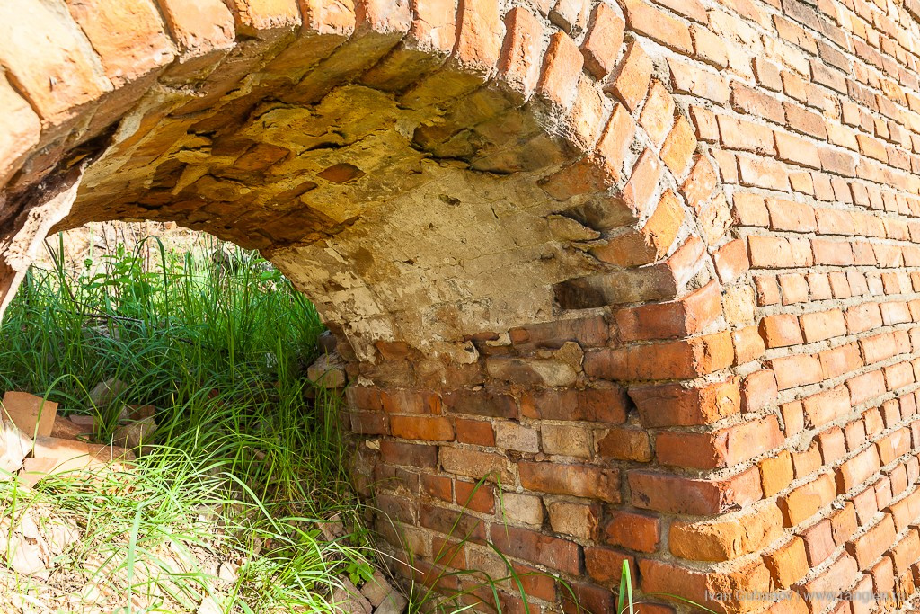 Брянская область. Климово. Фотограф Иван Губанов