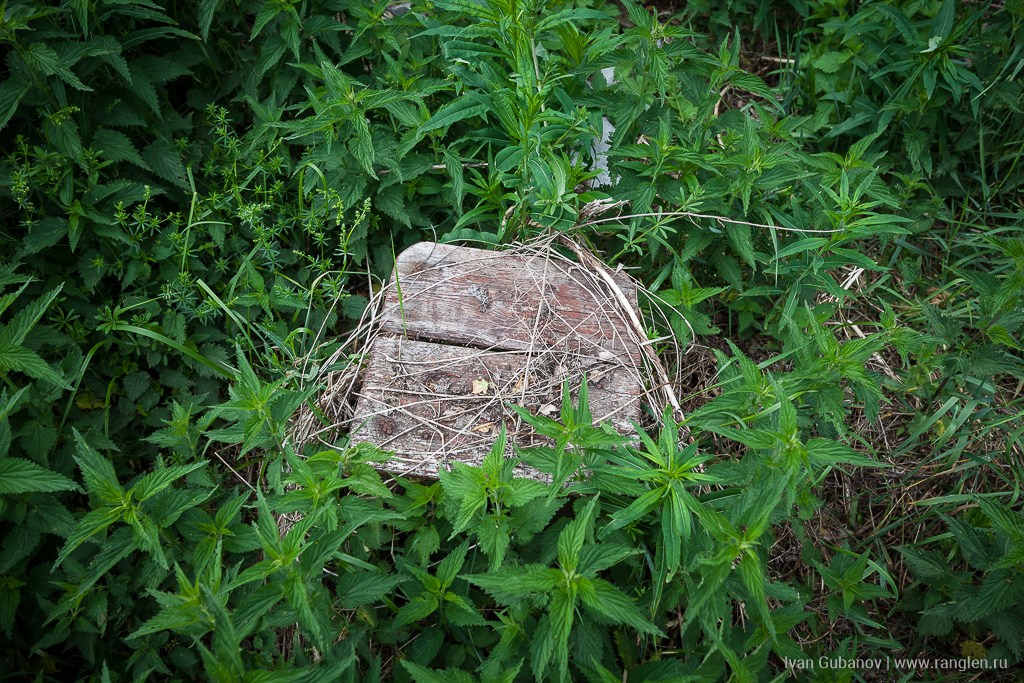Брянская область. Климово. Фотограф Иван Губанов
