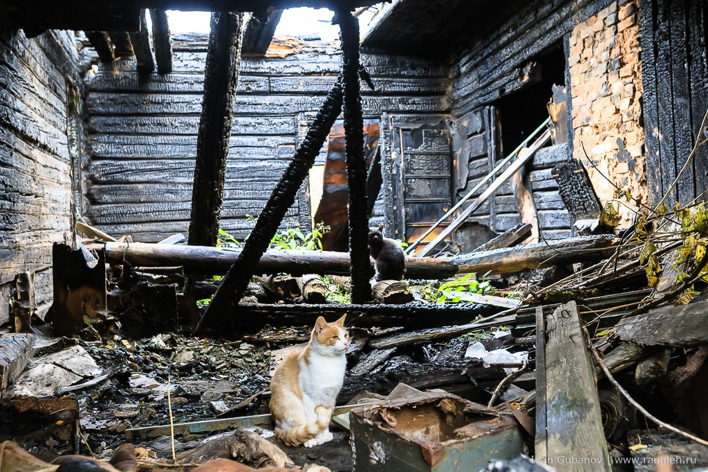 Путешествие в Дмитров. Фотограф Иван Губанов