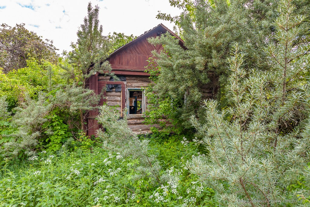 Брянская область. Климово. Фотограф Иван Губанов