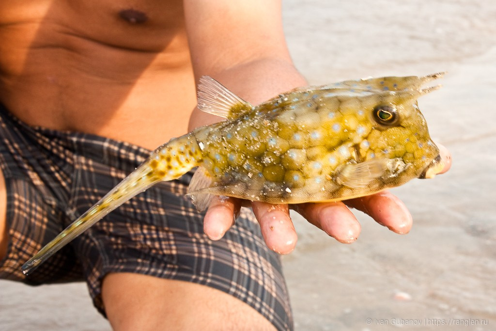 Малайзия. Фотограф Иван Губанов