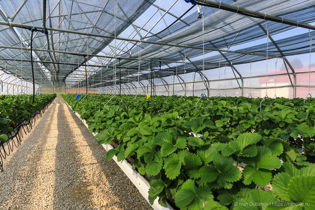 Путешествие по Тульской области. Фотограф Иван Губанов