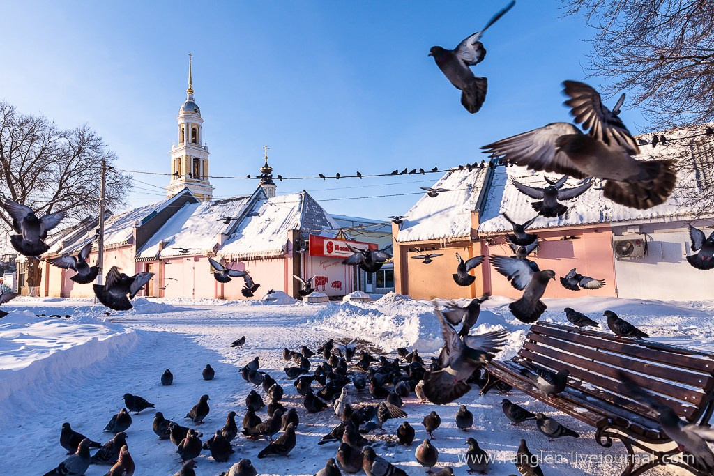 Путешествие в Коломну. Фотограф Иван Губанов