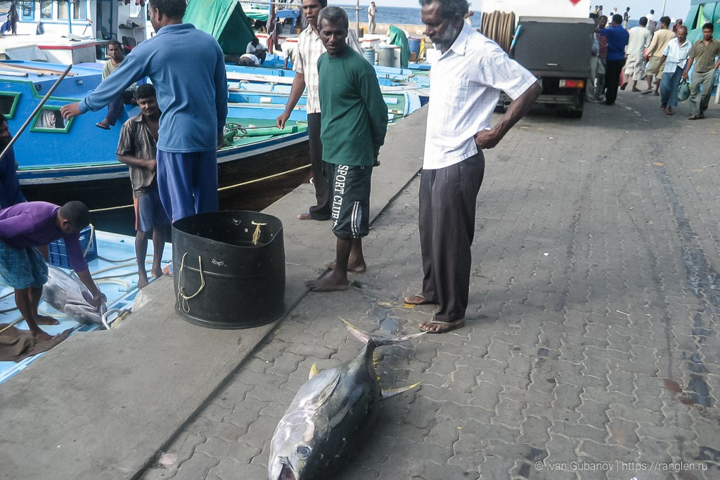 Путешествие на Мальдивские острова. Фотограф Иван Губанов
