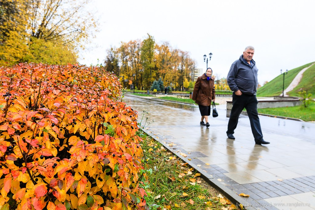 Путешествие в Дмитров. Фотограф Иван Губанов