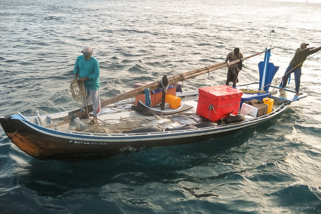 Путешествие на Мальдивские острова. Фотограф Иван Губанов