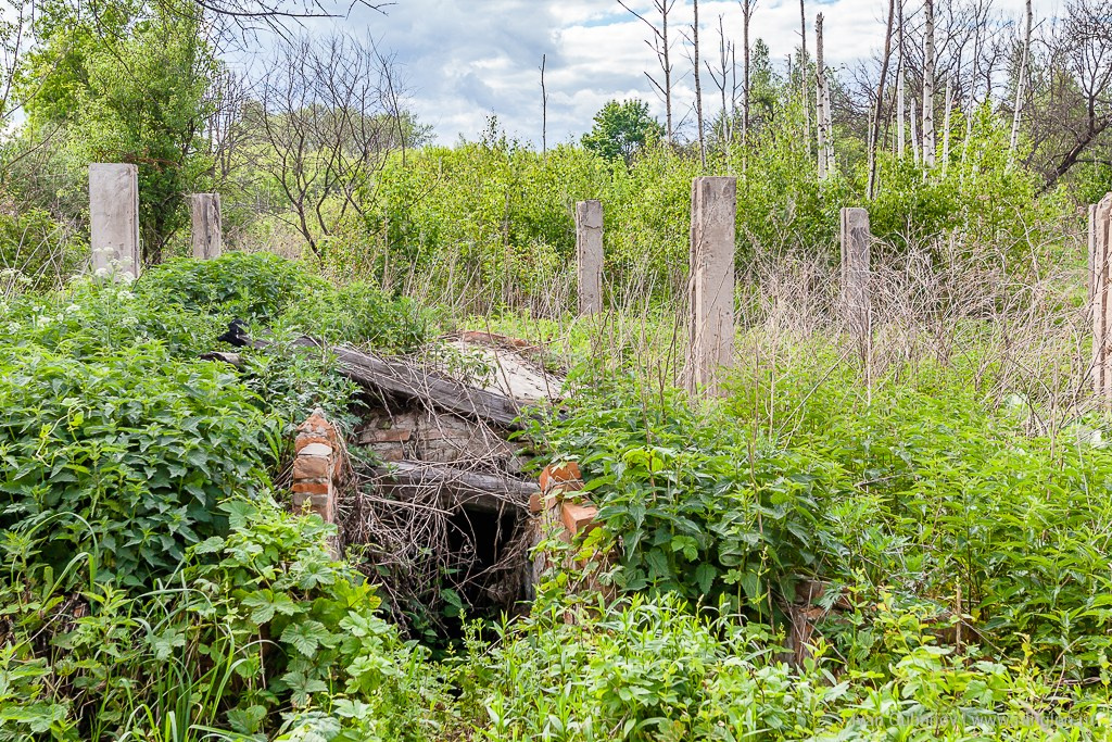 Брянская область. Климово. Фотограф Иван Губанов