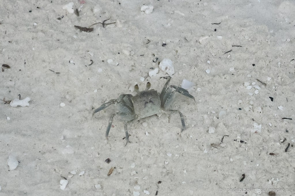 Путешествие на Мальдивские острова. Фотограф Иван Губанов