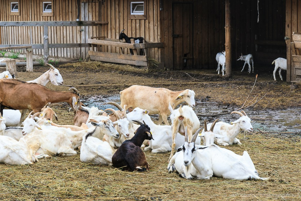 Путешествие по Тульской области. Фотограф Иван Губанов