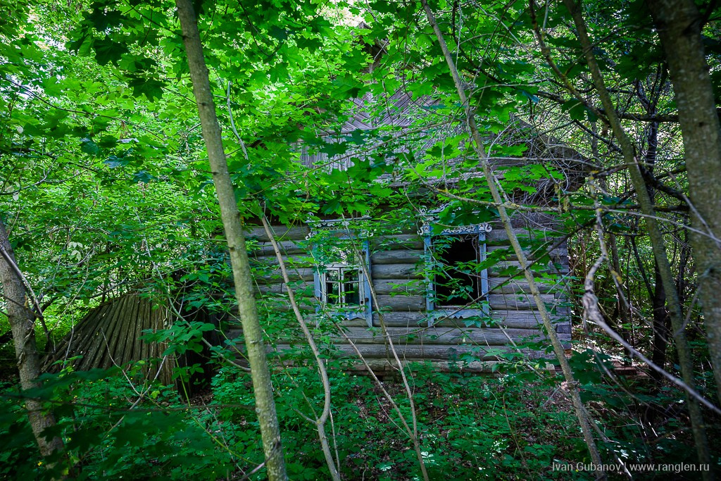 Брянская область. Климово. Фотограф Иван Губанов