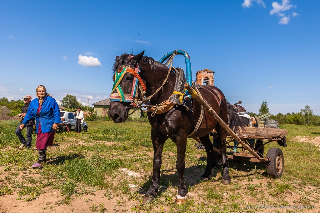 Брянская область. Климово. Фотограф Иван Губанов