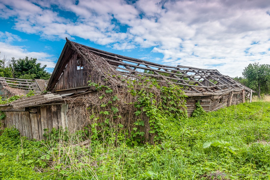 Брянская область. Климово. Фотограф Иван Губанов