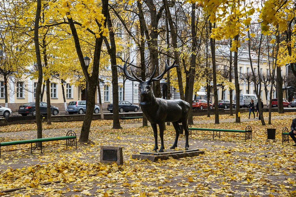 Смоленск 2014. Фотограф Иван Губанов