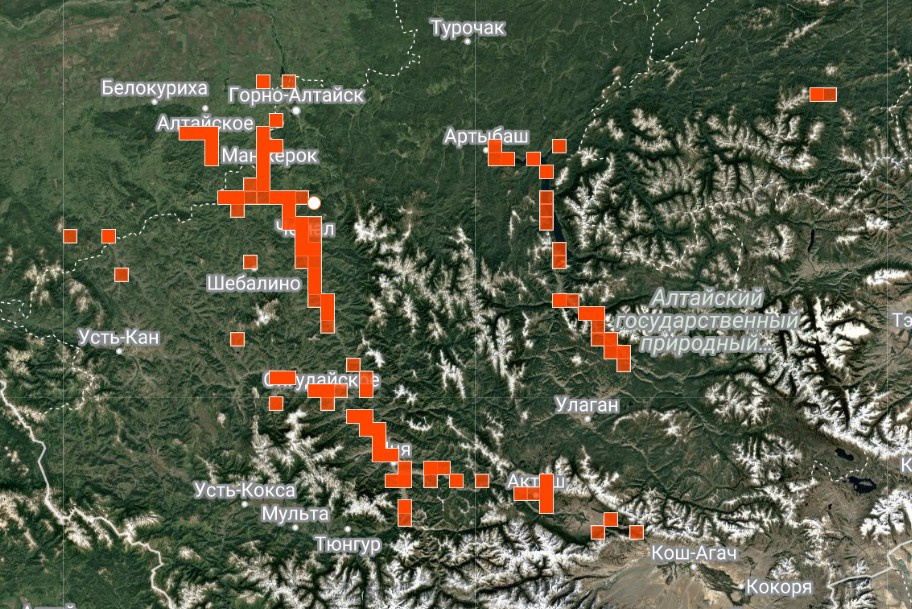 Карта распространения маральника (рододендрона Лебедура) на Алтае.