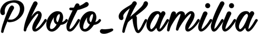 kamilia.wfolio.pro
